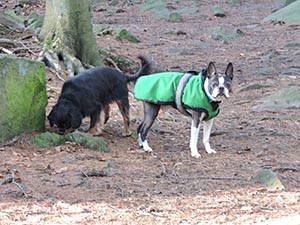 January 2017 Photo 22